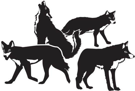 Četiri vuka