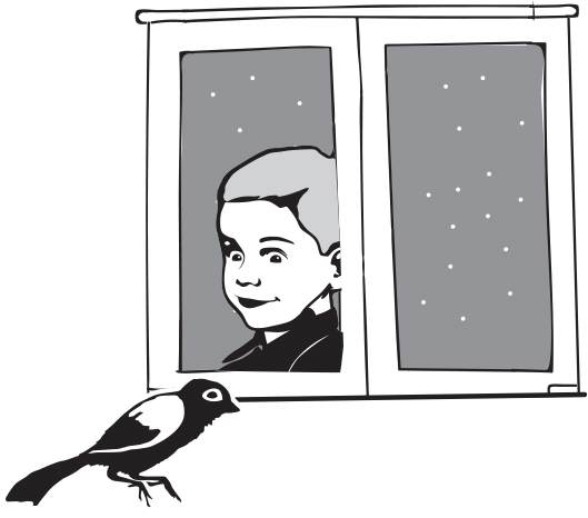 Ptica leži na prozoru dječaka