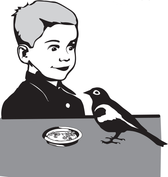 Dječak hrani pticu